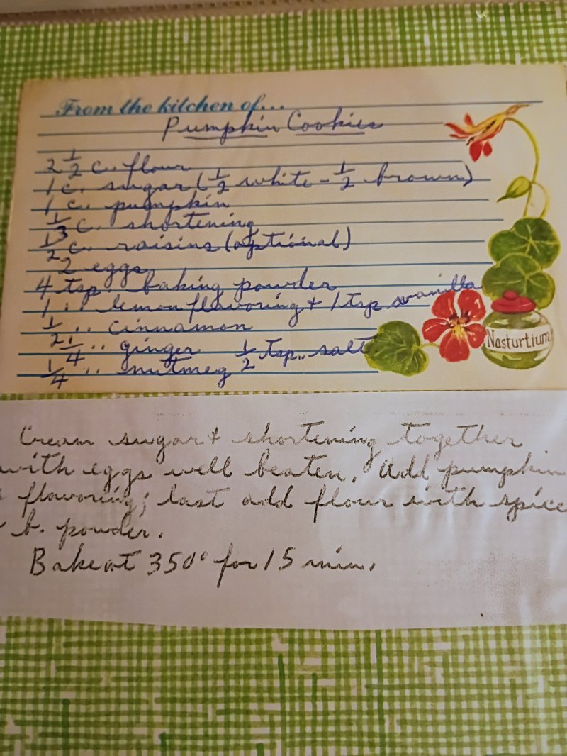 Pumpkin Cookies