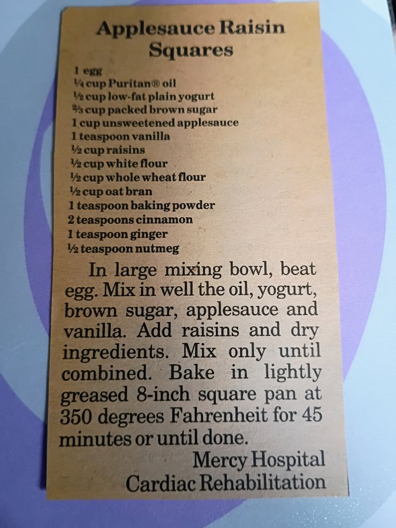 Applesauce Raisin Squares